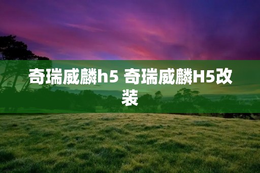 奇瑞威麟h5 奇瑞威麟H5改装