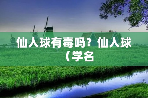 仙人球有毒吗?仙人球(学名:Euphorbia lactea)是一种常见的多肉植物,由于其美丽的外观和易于养护的特点,深受许多人的喜爱。然而,有些人担心仙人球是否具有毒性,是否会对人体造成伤害。本文将详细介绍仙人球的毒性问题。