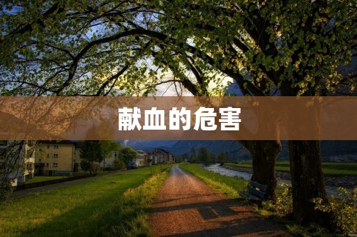 献血的危害:为什么我们需要关注? 献血的危害:为什么我们需要关注?