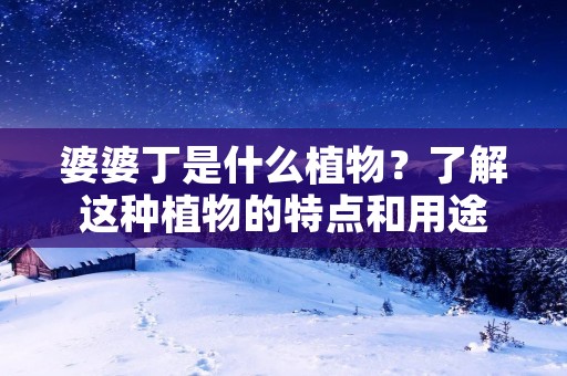 婆婆丁是什么植物?了解这种植物的特点和用途