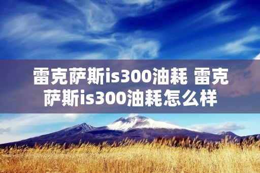 雷克萨斯is300油耗 雷克萨斯is300油耗怎么样
