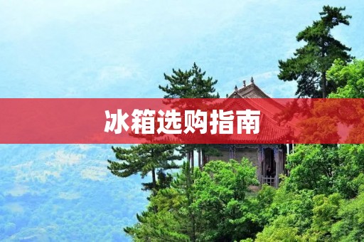 冰箱选购指南:如何选择最优性能的冰箱? 冰箱选购指南:如何选择最优性能的冰箱?