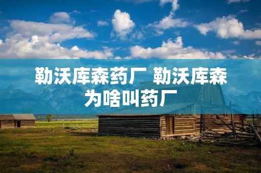 勒沃库森药厂 勒沃库森为啥叫药厂