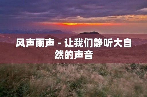 风声雨声 - 让我们静听大自然的声音 风声雨声 - 让我们静听大自然的声音