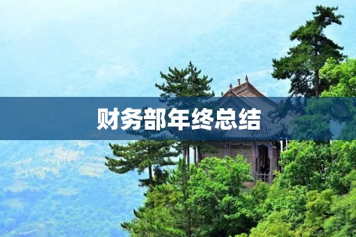 财务部年终总结:稳健发展,成果显著