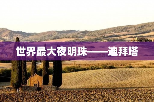 世界最大夜明珠——迪拜塔