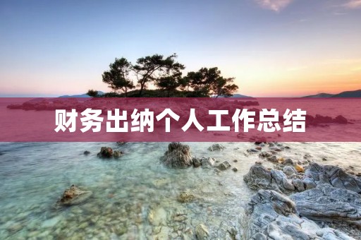 财务出纳个人工作总结
