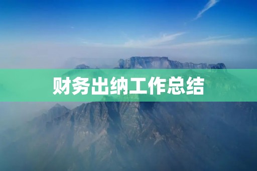 财务出纳工作总结