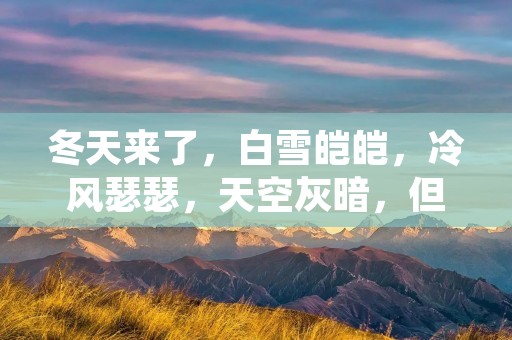 冬天来了，白雪皑皑，冷风瑟瑟，天空灰暗，但是冬天也有它美丽的一面。