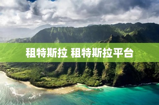 租特斯拉 租特斯拉平台