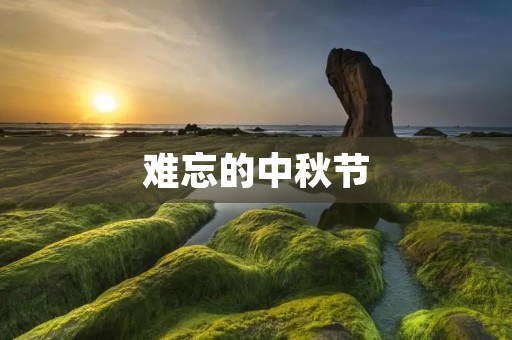 难忘的中秋节 难忘的中秋节