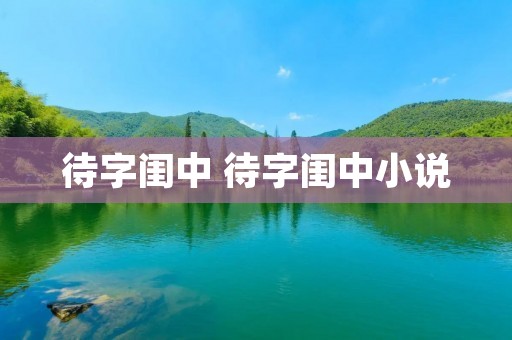待字闺中 待字闺中小说