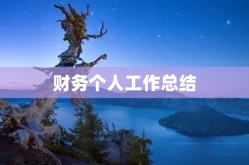 财务个人工作总结：探索成长的路程