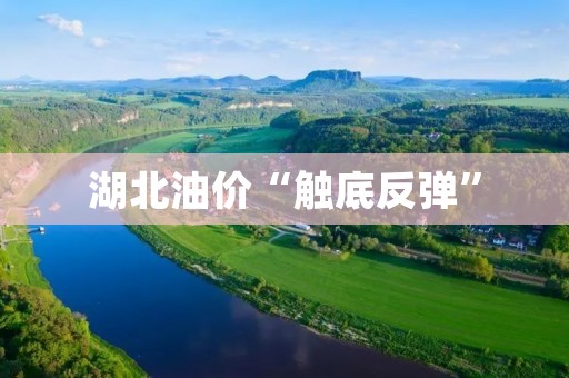 湖北油价“触底反弹”:背后原因和未来走势 湖北油价“触底反弹”:背后原因和未来走势