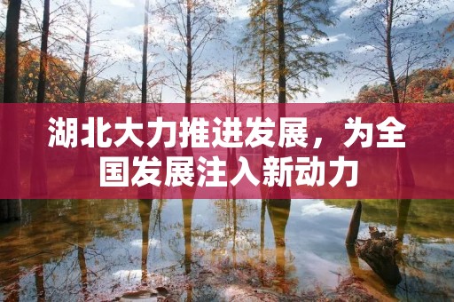 湖北大力推进发展，为全国发展注入新动力