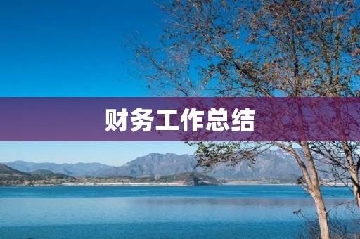 财务工作总结：精细管理与创新思维