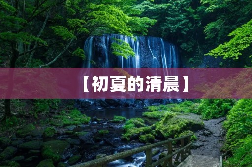 【初夏的清晨】