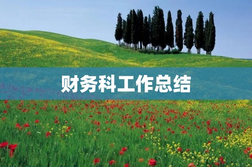 财务科工作总结：以数据为支撑，以效率为目标