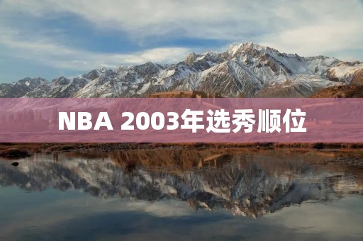 NBA 2003年选秀顺位:詹姆斯梦之队的开端 NBA 2003年选秀顺位:詹姆斯梦之队的开端