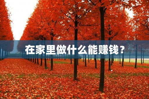在家里做什么能赚钱?