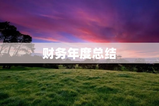 财务年度总结：企业财务状况的详细报告