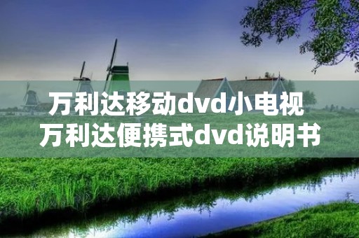 万利达移动dvd小电视 万利达便携式dvd说明书