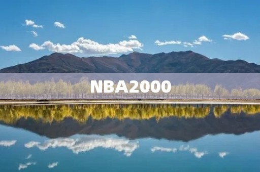 NBA2000：新世纪的篮球盛宴