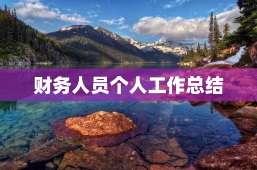 财务人员个人工作总结