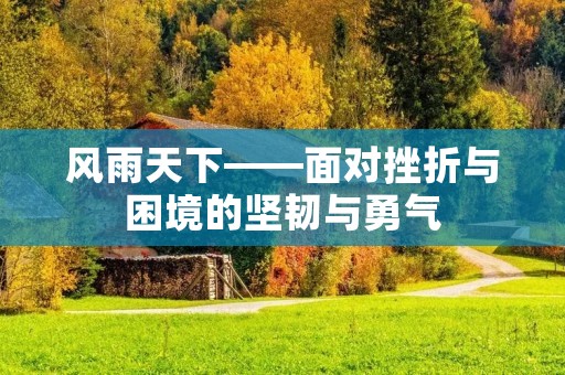 风雨天下——面对挫折与困境的坚韧与勇气 风雨天下——面对挫折与困境的坚韧与勇气