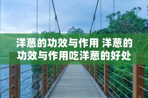 洋葱的功效与作用 洋葱的功效与作用吃洋葱的好处