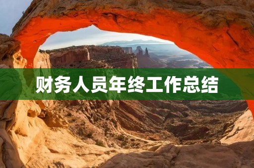 财务人员年终工作总结