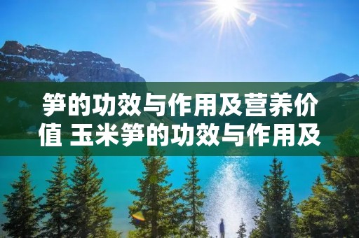 笋的功效与作用及营养价值 玉米笋的功效与作用及营养价值