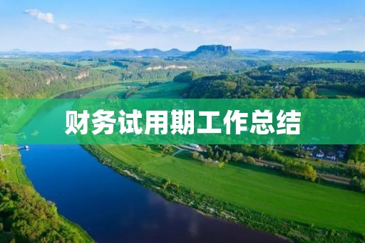 财务试用期工作总结