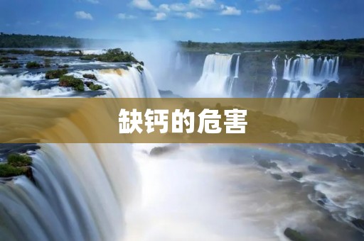缺钙的危害:影响健康的“罪魁祸首” 缺钙的危害:影响健康的“罪魁祸首”