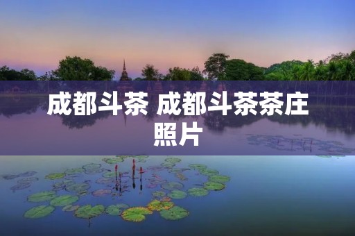 成都斗茶 成都斗茶茶庄照片 成都斗茶 成都斗茶茶庄照片