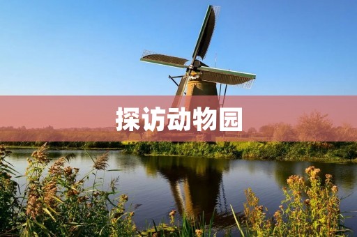 探访动物园