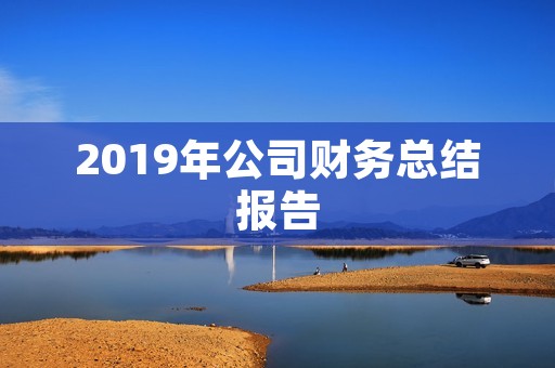 2019年公司财务总结报告