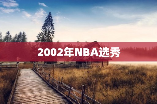 2002年NBA选秀：一批天才球员的崛起