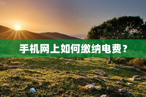 手机网上如何缴纳电费? 手机网上如何缴纳电费?