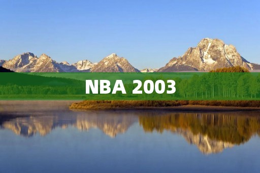 NBA 2003：球场上的较量