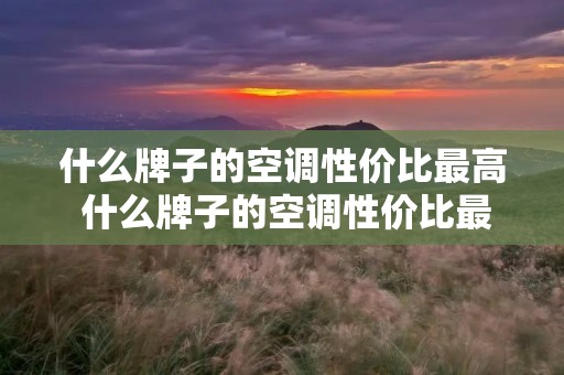 什么牌子的空调性价比最高 什么牌子的空调性价比最高适合出租房 什么牌子的空调性价比最高 什么牌子的空调性价比最高适合出租房