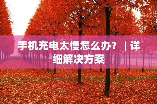 手机充电太慢怎么办? | 详细解决方案 手机充电太慢怎么办? | 详细解决方案