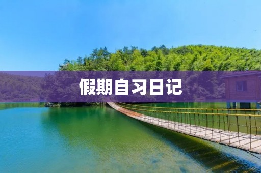假期自习日记