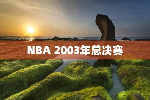 NBA 2003年总决赛：紫金王朝的崛起