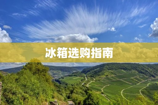 冰箱选购指南:哪个品牌的冰箱最好? 冰箱选购指南:哪个品牌的冰箱最好?