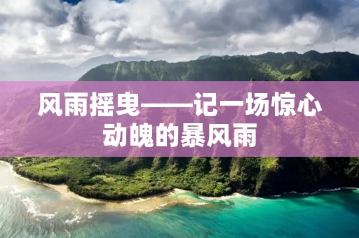 风雨摇曳——记一场惊心动魄的暴风雨 风雨摇曳——记一场惊心动魄的暴风雨