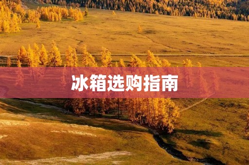 冰箱选购指南:如何选择适合自己的品牌 冰箱选购指南:如何选择适合自己的品牌