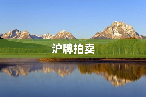 沪牌拍卖:竞价高企,市民买车难 沪牌拍卖:竞价高企,市民买车难