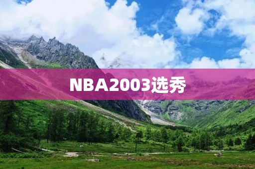 NBA2003选秀：一批传奇球员的诞生