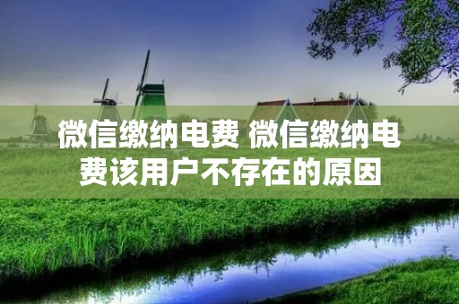 微信缴纳电费 微信缴纳电费该用户不存在的原因